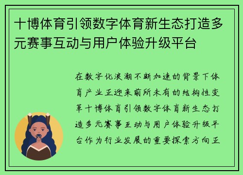 十博体育引领数字体育新生态打造多元赛事互动与用户体验升级平台